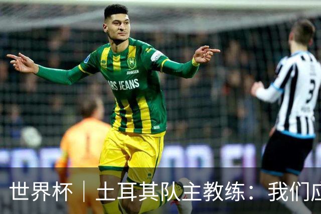 世界杯｜土耳其队主教练：我们应得到更多尊重