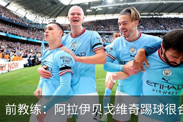 前教练：阿拉伊贝戈维奇踢球很合理，求胜欲也强无法接受失败