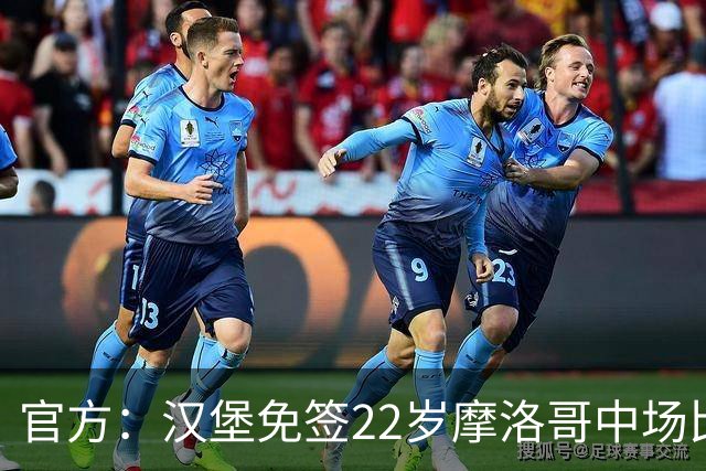 官方：汉堡免签22岁摩洛哥中场比拉勒-纳迪尔