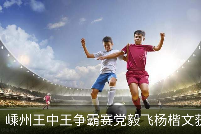 嵊州王中王争霸赛党毅飞杨楷文获胜 00后全出局