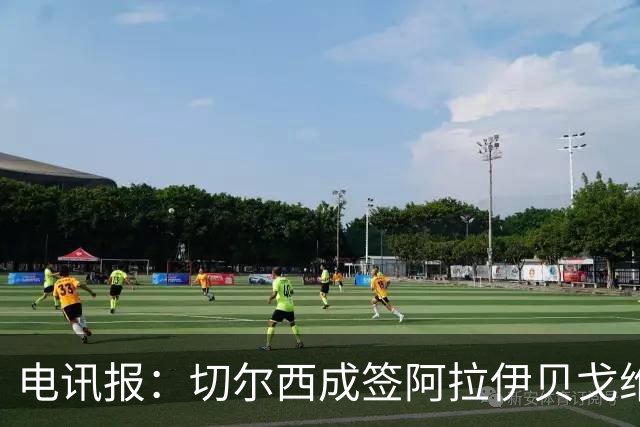 电讯报：切尔西成签阿拉伊贝戈维奇最大热门，球员身价3000万镑