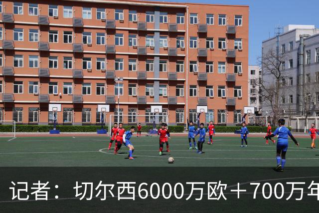 记者：切尔西6000万欧＋700万年薪报价帕莱斯特拉，国米不会匹配