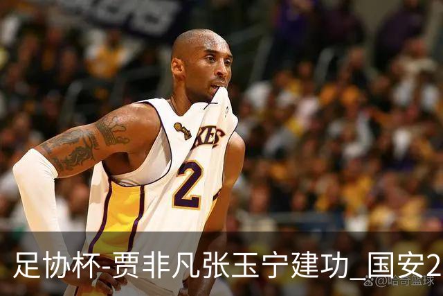 足协杯-贾非凡张玉宁建功 国安2-1大连可为晋级8强